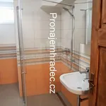 Rent 1 bedroom apartment of 30 m² in Hradec Králové