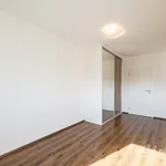 Rent 2 bedroom apartment in Prague