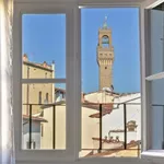 Rent 1 bedroom apartment in Florence