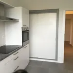 Rent 2 bedroom apartment in Ixelles