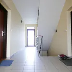 Rent 1 bedroom apartment of 45 m² in Brno