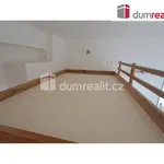 Rent 1 bedroom apartment of 25 m² in Prague