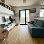 Rent 2 bedroom apartment of 60 m² in Milano