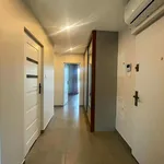 Rent 3 bedroom apartment of 55 m² in Rzeszów