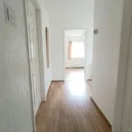 Rent 3 bedroom house in Peterborough