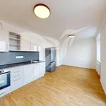 Rent 2 bedroom apartment of 44 m² in Pilsen