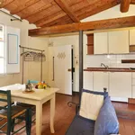 Rent 1 bedroom apartment of 35 m² in Florence