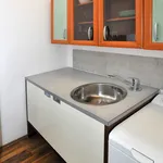 Rent 2 bedroom apartment of 50 m² in Prague