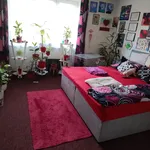 Rent 2 bedroom apartment in Ústí nad Orlicí