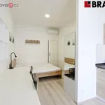 Rent 1 bedroom apartment in Brno