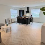 Rent 3 bedroom apartment of 78 m² in Stadsdriehoek