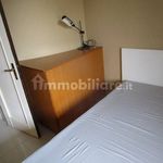 2-room flat via Michelangelo Buonarroti, Frati, Busto Arsizio