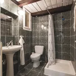 Rent a room of 175 m² in Prague