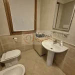 Rent 3 bedroom apartment of 105 m² in legnaro