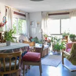 Rent a room in madrid