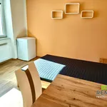 Rent 1 bedroom apartment of 25 m² in Kunovice