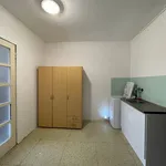 Rent 1 bedroom apartment of 1 m² in Tábor