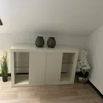  appartement avec 1 chambre(s) en location à Asse