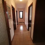 Rent 4 bedroom apartment of 140 m² in Catanzaro