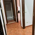 Rent 1 bedroom apartment of 45 m² in Margherita di Savoia