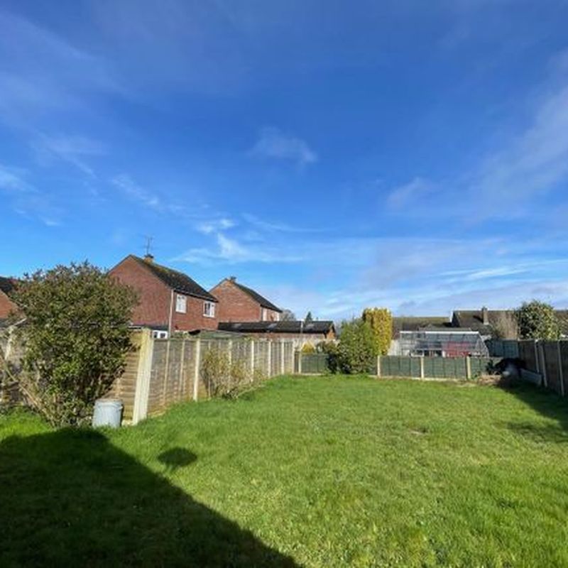 Bungalow to rent in Thompson Avenue, Holt NR25