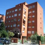 Rent 3 bedroom apartment in Madrid