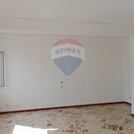 Affitto 7 camera appartamento di 130 m² in Palermo