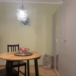 Rent 1 bedroom apartment of 409 m² in Dresden