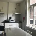 Rent 1 bedroom apartment of 26 m² in Maastricht