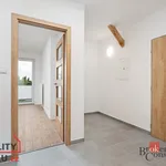 Pronajměte si 1 ložnic/e byt o rozloze 43 m² v Pilsen