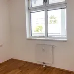 Rent 2 bedroom apartment of 51 m² in Graz