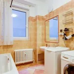 Rent 2 bedroom apartment of 65 m² in Prague