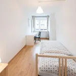 Rent 5 bedroom apartment in Munich