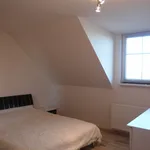 Rent 1 bedroom house of 120 m² in Prague