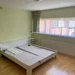 Rent 4 bedroom house in Haarlem