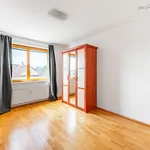 Pronajměte si 4 ložnic/e byt o rozloze 138 m² v Prague