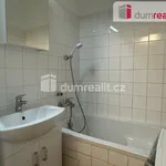 Rent 2 bedroom apartment of 51 m² in Otrokovice