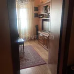 Rent 6 bedroom apartment of 195 m² in Frosinone