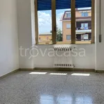 Rent 4 bedroom apartment of 140 m² in Isernia