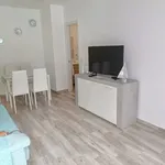 Rent 1 bedroom apartment of 45 m² in Málaga