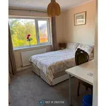 Rent a room in Colchester