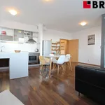 Pronajměte si 2 ložnic/e byt o rozloze 58 m² v Brno