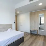 Rent 1 bedroom apartment in madrid