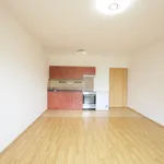 Pronájem bytu 2+kk 48m²