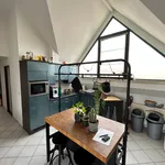 Rent 1 bedroom apartment in Geel