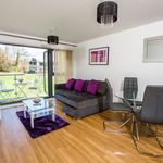 Rollason Way, Brentwood - Amsterdam Apartments for Rent