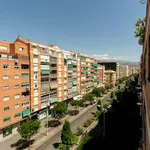 Alquilar 5 dormitorio apartamento en Granada