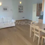 Rent 2 bedroom apartment of 60 m² in Lucca