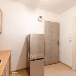 Rent 1 bedroom apartment in Prague