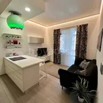 Rent 2 bedroom apartment of 50 m² in Torino